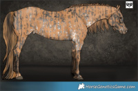 Horse Color:White Spotted Liver Chestnut Ice Sabino Splash Brindle