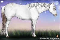 Horse Color:White Spotted Liver Red Dun Frame  and White Spotted Liver Red Dun Frame 