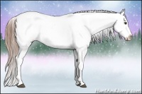Horse Color:Liver Chestnut Sabino Splash Appaloosa  Brindle