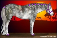 Horse Color:Chocolate Palomino Pearl Sabino Splash  and Liver Chestnut Sabino Splash 