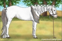 Horse Color:Liver Chestnut Sabino Splash Appaloosa  and Liver Chestnut Sabino Splash Appaloosa 