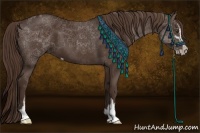 Horse Color:Liver Chestnut Sabino  and Liver Chestnut Sabino 