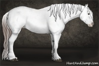 Horse Color:Liver Chestnut Sabino Splash Varnish  Brindle