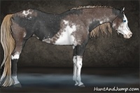 Horse Color:Liver Chestnut Sabino Splash Varnish and Liver Chestnut Sabino Splash Varnish