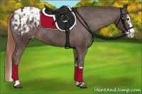 Horse Color:Liver Chestnut Sabino Splash Appaloosa and Liver Chestnut Sabino Splash Appaloosa