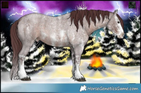 Horse Color:Chocolate Brown Ice Roan Sabino Splash Varnish  and Chocolate Brown Ice Roan Sabino Splash Varnish 