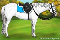 Horse Color:Black Sabino Splash Near Leopard  and Black Sabino Splash Near Leopard 