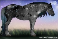 Horse Color:ERROR: UNKNOWN ANOMALY Brindle