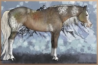 Horse Color:White Spotted Liver Chestnut Sabino Splash  Brindle