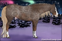 Horse Color:Liver Chestnut Sabino Splash Brindle