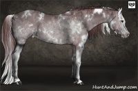 Horse Color:White Spotted Chocolate Grullo Chinchilla Sabino Splash Brindle