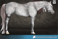 Horse Color:White Spotted Chocolate Grullo Chinchilla Sabino Splash Brindle