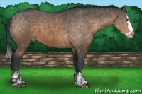 Horse Color:Buckskin Sabino Splash Appaloosa  and Buckskin Sabino Splash Appaloosa 