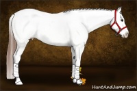 Horse Color:Bay Sabino Splash Appaloosa Brindle