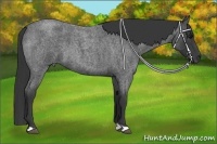 Horse Color:Blue Roan