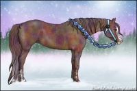 Horse Color:Nacre Chocolate Bay Sabino Splash  and Nacre Chocolate Bay Sabino Splash 