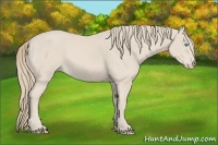 Horse Color:Smoky Creme 