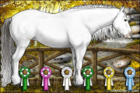 Horse Color:Liver Chestnut Sabino Splash Appaloosa  and Liver Chestnut Sabino Splash Appaloosa 