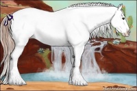 Horse Color:Liver Red Onyx Sabino Splash Appaloosa  Brindle