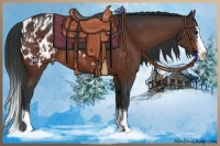 Horse Color:Bay Sabino Splash Appaloosa  and Bay Sabino Splash Appaloosa 