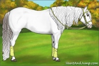 Horse Color:Liver Chestnut Sabino Splash Varnish  and Liver Chestnut Sabino Splash Varnish 