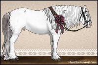 Horse Color:Bay Sabino Splash Appaloosa  Brindle