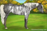Horse Color:Liver Chestnut Ice Sabino Splash Frame  Brindle