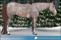 Horse Color:Chocolate Bay Ice Sabino Splash Appaloosa  Brindle