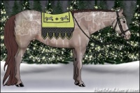 Horse Color:Chocolate Bay Ice Sabino Splash Appaloosa Brindle