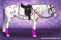 Horse Color:Buckskin Sabino Splash Tobiano Appaloosa and Buckskin Sabino Splash Tobiano Appaloosa