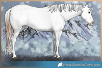 Horse Color:Brown Ice Sabino Splash Varnish and Brown Ice Sabino Splash Varnish