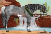 Horse Color:White Spotted Brown Roan Frame 