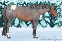 Horse Color:Brown Sabino Varnish 