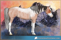 Horse Color:Bay Roan Splash 