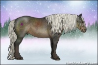 Horse Color:Liver Chestnut Rabicano 