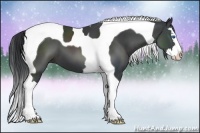 Horse Color:Black Splash Tobiano