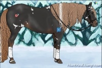 Horse Color:White Spotted Liver Chestnut Sabino