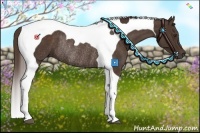 Horse Color:Liver Chestnut Tobiano Rabicano 