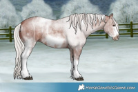 Horse Color:White Spotted Chocolate Silver Brown Ice Roan Frame