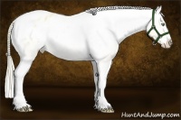 Horse Color:Gold Champagne Roan Dun Splash Tobiano Frame Appaloosa Rabicano 