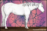 Horse Color:Cremello Sabino  Brindle