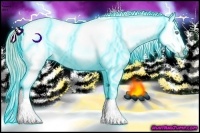 Horse Color:Thunderstruck Perlino Ice Appaloosa