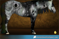 Horse Color:ERROR: UNKNOWN ANOMALY