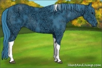 Horse Color:Watercolor Smoky Black Ice Tobiano 