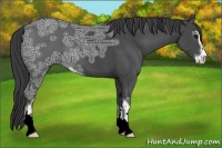 Horse Color:Smoky Black Ice Sabino
