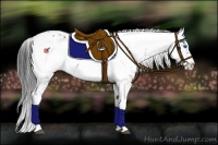 Horse Color:Black Frame 