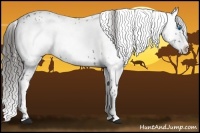 Horse Color:Liver Chestnut Frame 