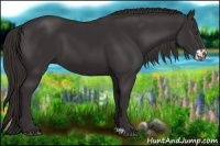 Horse Color:Liver Chestnut Frame 