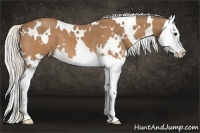 Horse Color:White Spotted Silver Buckskin Splash 