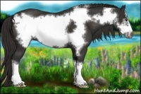 Horse Color:Liver Chestnut Frame 